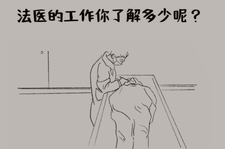 【漫画】清明追思，我们以这种方式缅怀他~