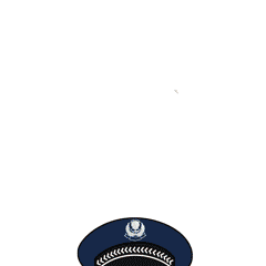 16.gif