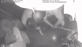 粪坑！.gif