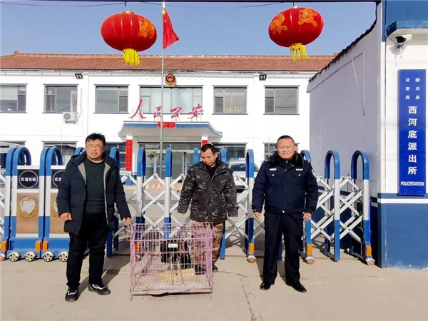 保护3_副本.jpg
