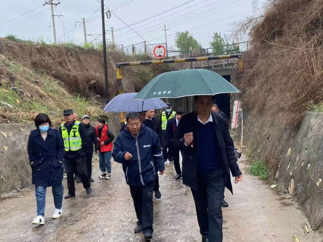 1682471587001039424.jpg 101.jpg