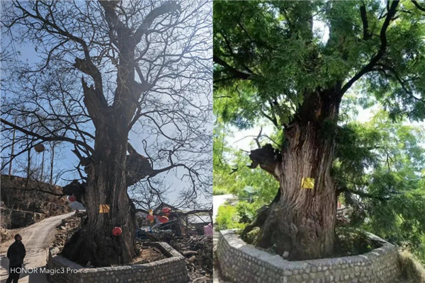 微信图片_20230810101024_1.jpg