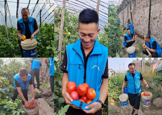 1694133484027056610.png 1694133484027056610.png