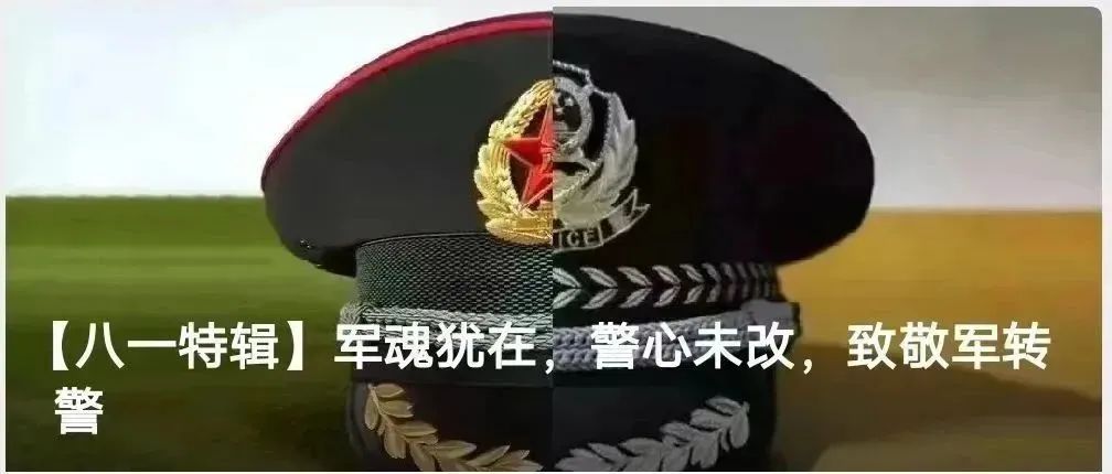 1704360295589164.jpg 1704360295589164.jpg