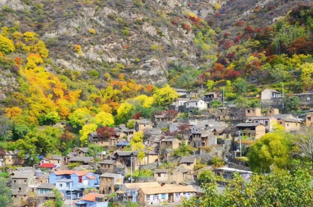 1708677280688078324.jpg 640 (33).jpg