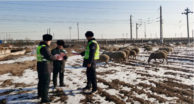 1708914116584008401.png 1.png