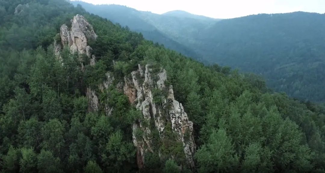 1717757147110050070.jpg 1717757147110050070.jpg