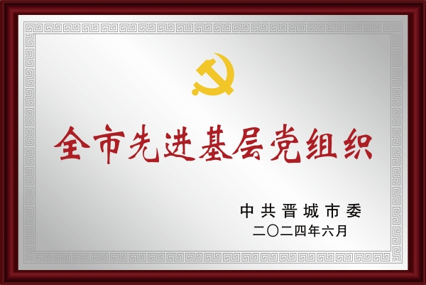第二党支部荣获“全市先进基层党组织”荣誉称号.jpg