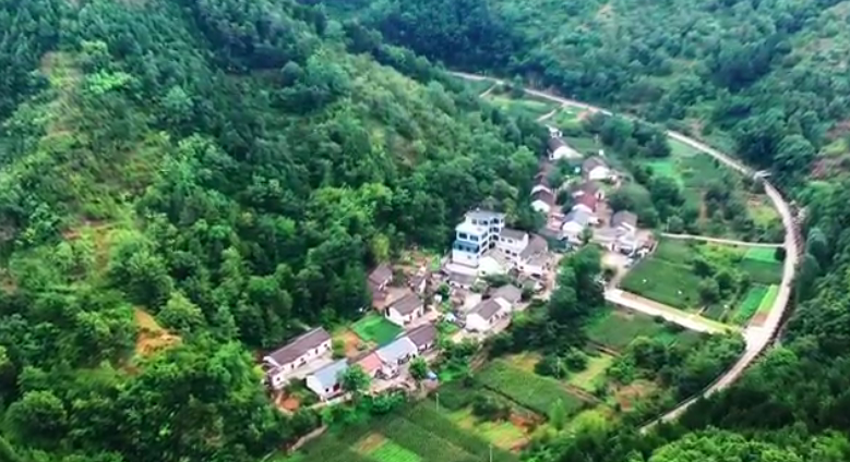 1725589293023030143.png 101.png