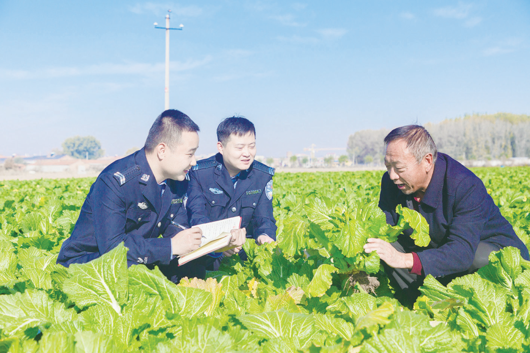 1737618562357040028.png 1737618562357040028.png