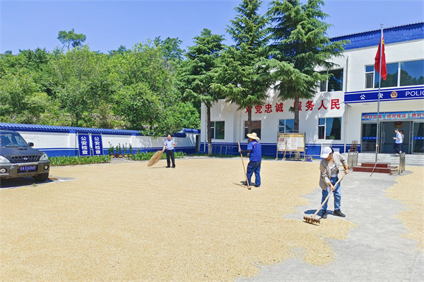 1741159357566027800.jpg 13.jpg