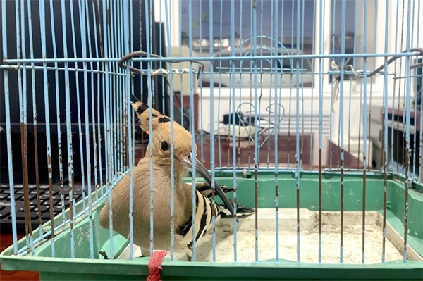 1745391369037001934.jpg 49.jpg