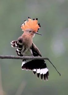 1745391391946005073.jpg 50.jpg