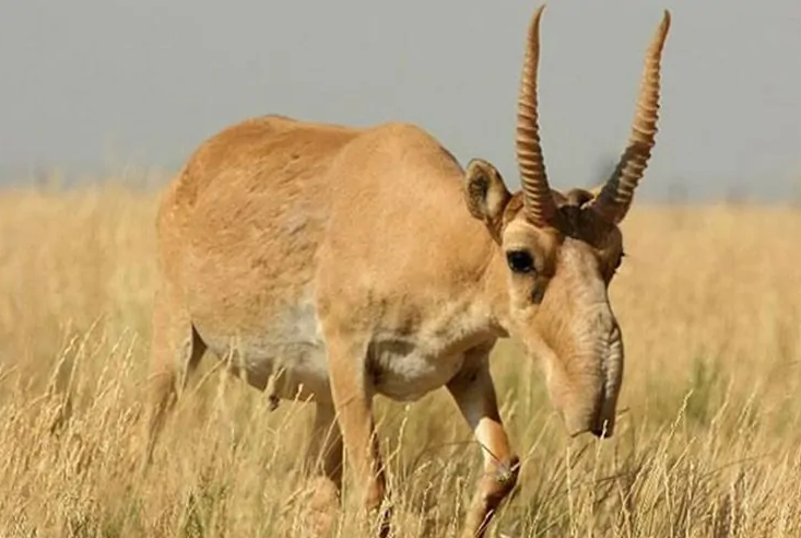 1749463137168022014.png 28.png