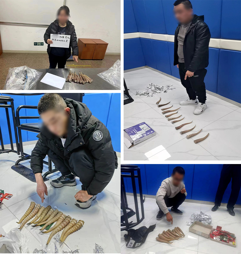 1749463542324074944.jpg 31.jpg