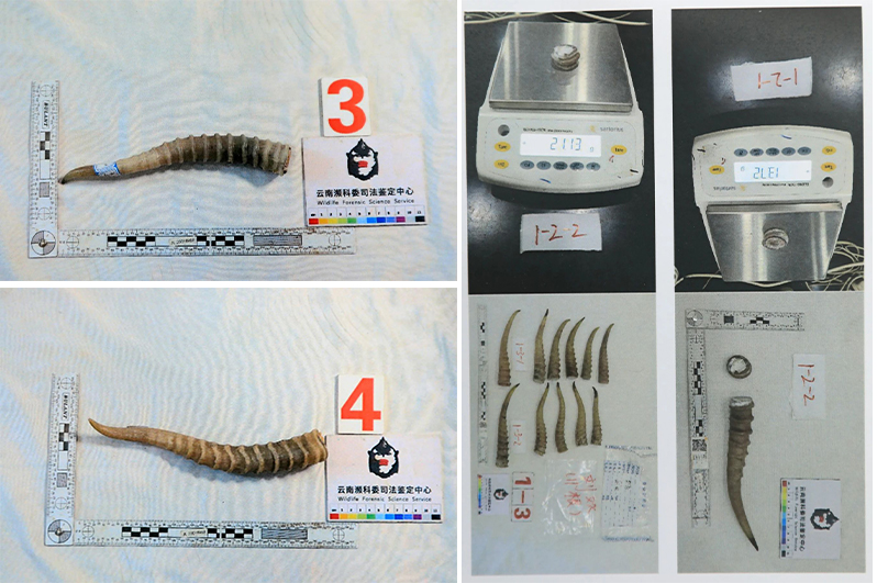 1749463586553019423.jpg 32.jpg