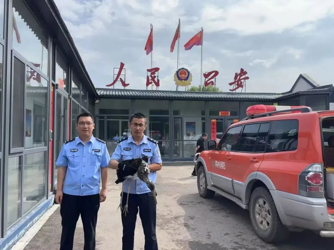 1755165666577047496.jpg 微信图片_2025-08-14_175637_519.jpg