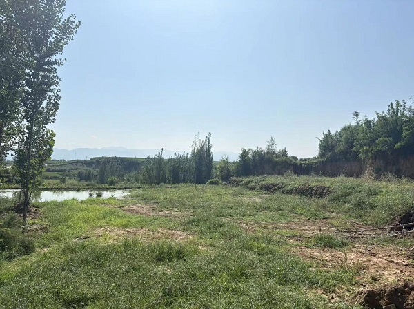 1758783960398041728.jpg 2.jpg