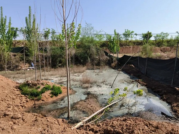 1758783978802060002.jpg 1.jpg