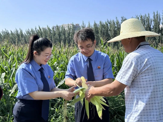 1759021641343082689.jpg 2.jpg