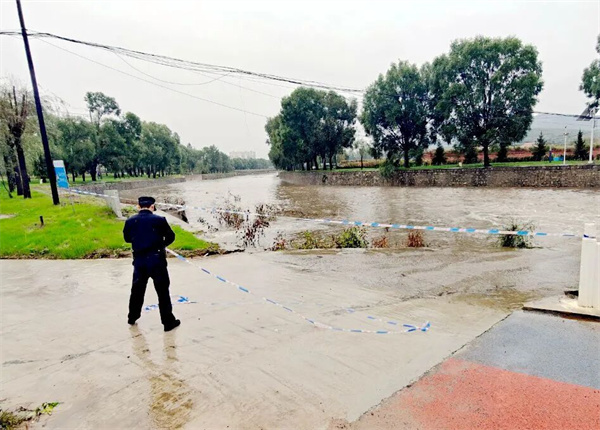 1760404995096065509.jpg 19.jpg